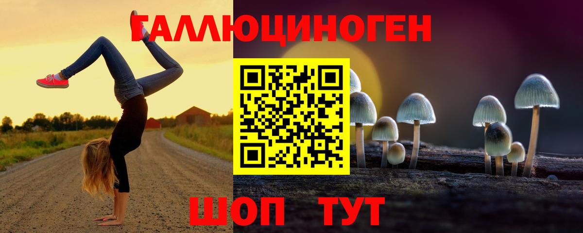 Псилоцибиновые грибы MAGIC MUSHROOMS  Вход с VPN  Ржев 